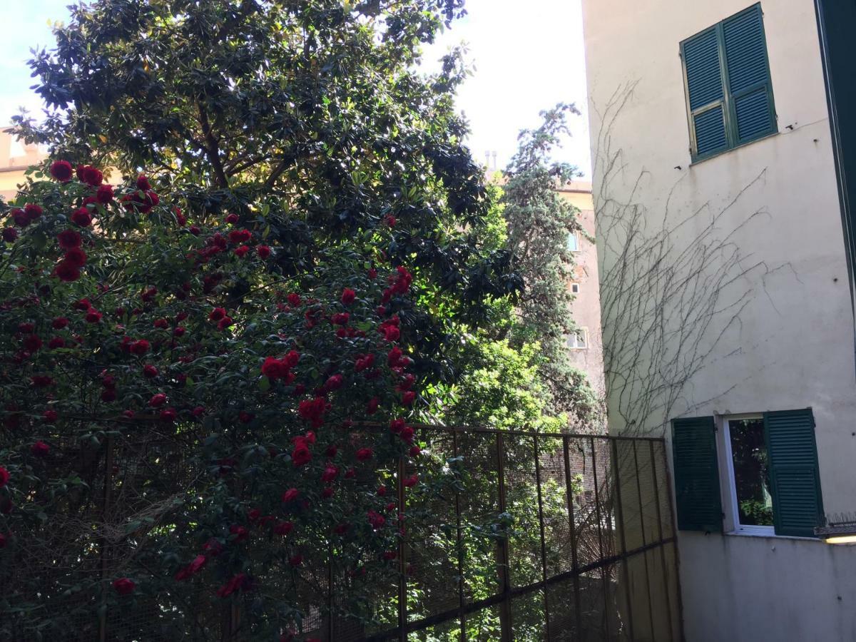 Apartmán Casa Brigida Janov Exteriér fotografie